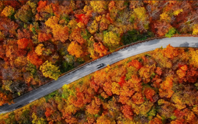 What the Road Leaves Behind